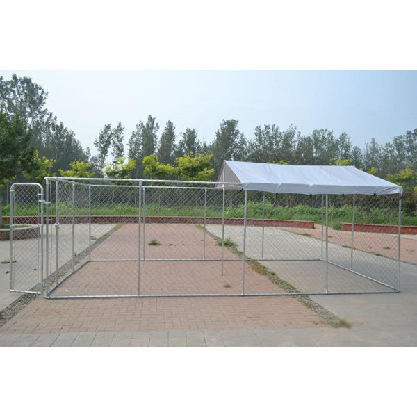 Backyard Dog Kennel Outdoor Pet Pen Chain Link Fence 20 x10 x6 i.e. 3x6 Meters